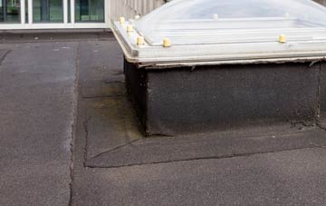 disadvantages of Cheselbourne flat roofs