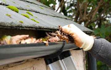 gutter cleaning Cheselbourne, Dorset